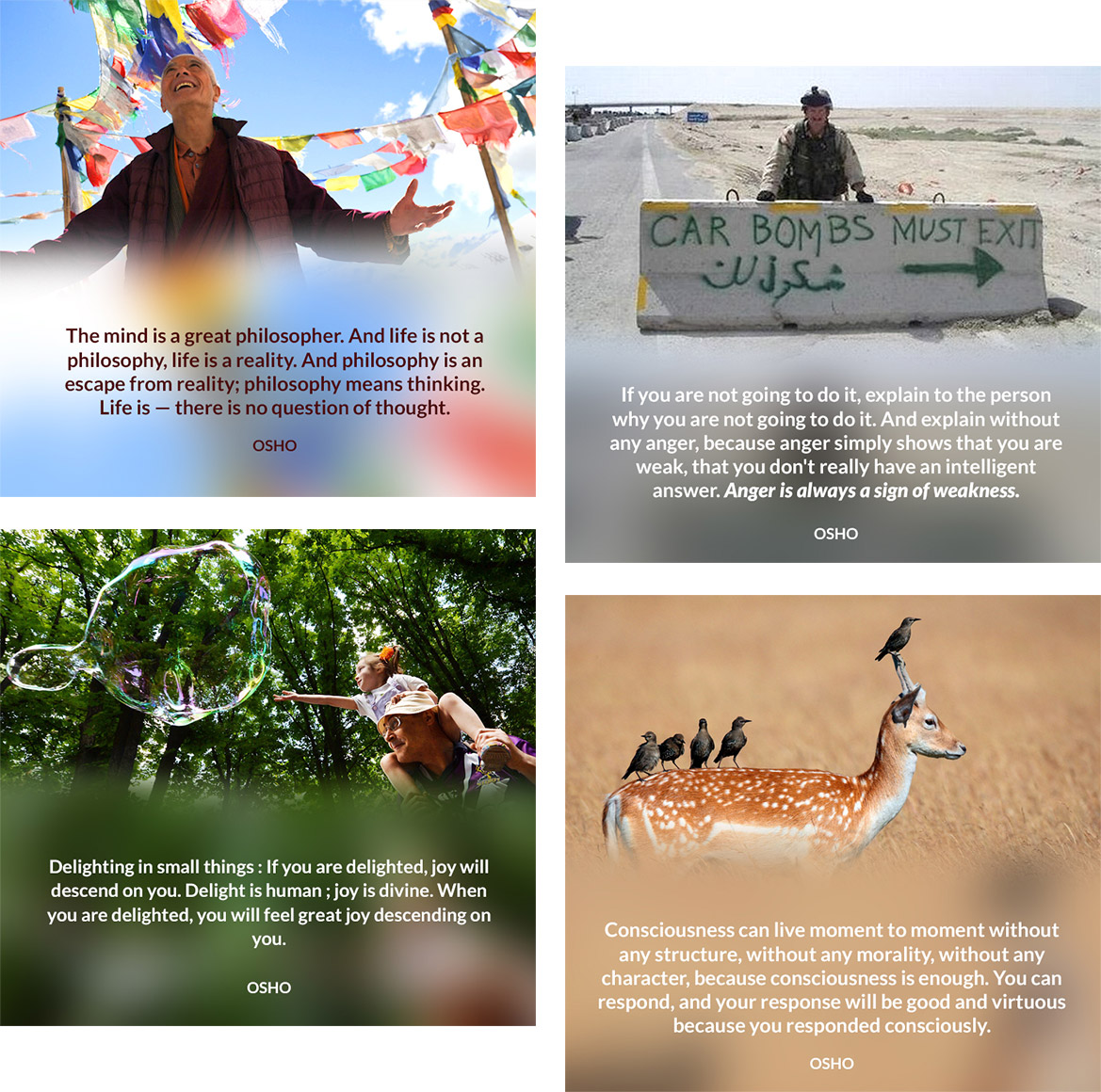 Osho Insight Be a joke unto yourself. Osho Insight Be a joke unto yourself.